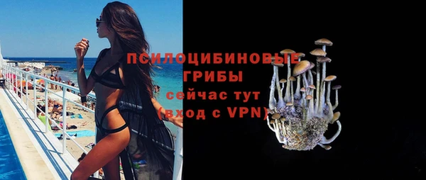 МДПВ Алексин
