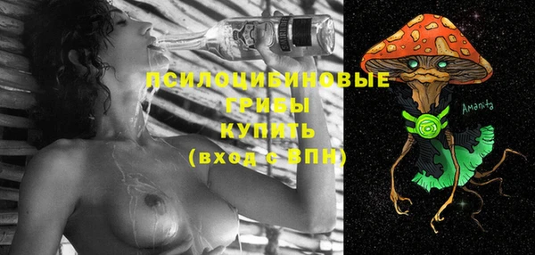 эйфоретик Абинск